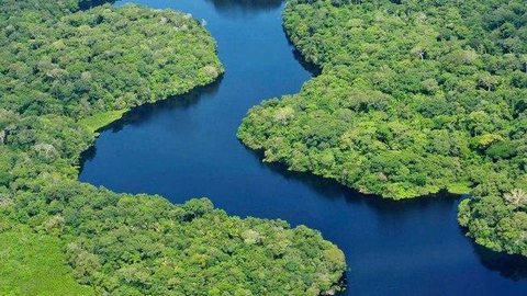 Governo federal quer “obter o controle” de ONGs que atuam na Amazônia
