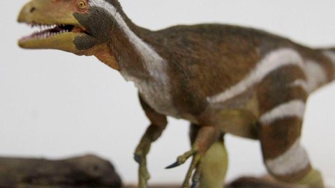Pesquisadores apresentam dados inéditos sobre dinossauro brasileiro