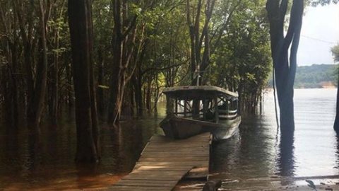 Aplicativo facilita acesso a informações meteorológicas da Amazônia