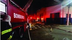 Idoso é preso suspeito de começar incêndio criminoso em mata