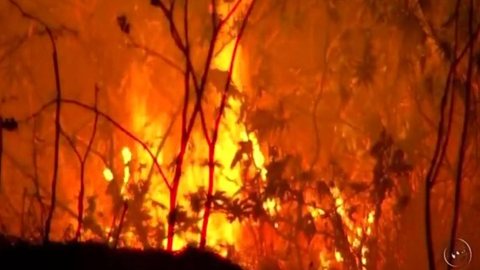 Terreno abandonado pega fogo e incomoda moradores de Araçatuba