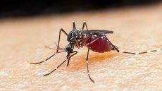 China erradica malária depois de 70 anos de luta contra a doença
