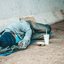Frio, fome, doenças: a vida de moradores em situação de rua em SP na pandemia