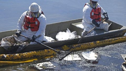 Vazamento jogou 474 mil litros de petróleo na costa da Califórnia, estimam autoridades