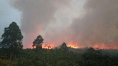 Incêndio atinge área de mata às margens da rodovia Raposo Tavares
