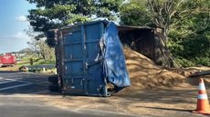 Caminhão carregado com 35 t de amendoim tomba em rodovia