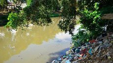 Dia Mundial da Limpeza tenta recuperar rios