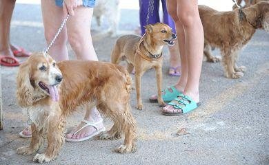 Rio inaugura mais um centro de atendimento para cães e gatos