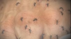 Secretaria de Saúde confirma primeiro caso de chikungunya em Araçatuba neste ano