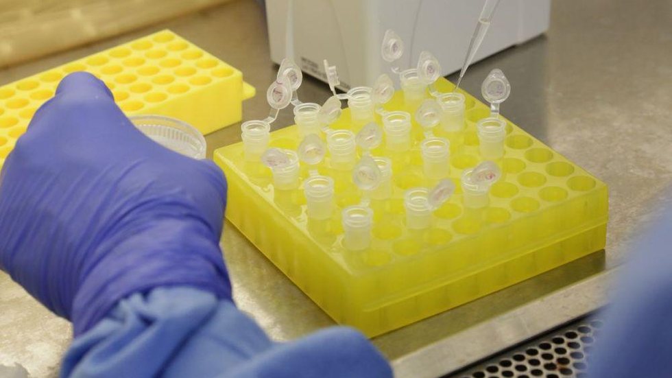 EUA testam dois genéricos em corrida por tratamentos para coronavírus