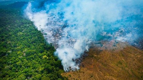 Queimadas na Amazônia expõem mais de 4 milhões de pessoas a alta poluição