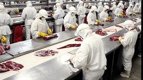 Exportação de carne brasileira desaba após operação da Polícia Federal