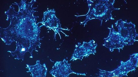 Cientistas descobrem célula que pode ‘destruir’ todos os tipos de câncer