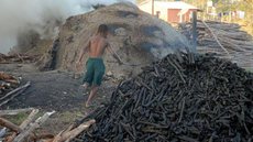 Carvoarias clandestinas são destruídas na Baixada Fluminense