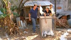 Animais em situação de maus-tratos são resgatados em Marília