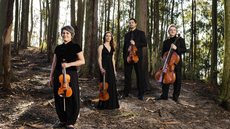 Mostra traz espetáculos de música erudita para Rio Preto