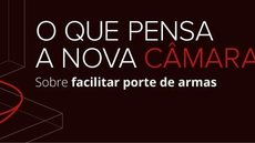 Medidas para facilitar compra e porte de armas dividem deputados federais eleitos
