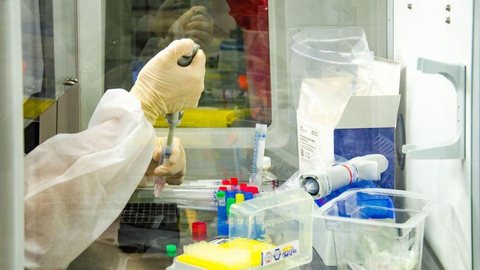 Fiocruz inicia testes com BCG para combate ao coronavírus