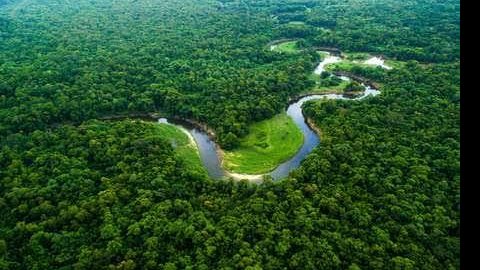 Amazônia1