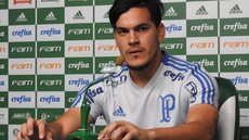 Adaptado ao Palmeiras, Gustavo Gómez revela cláusula para permanecer após empréstimo