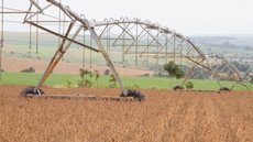 Safra de grãos fecha 2019 com recorde de 241,5 milhões de toneladas