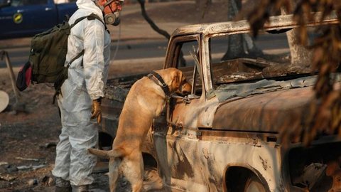Passa de 1.000 o número de desaparecidos em incêndios na Califórnia