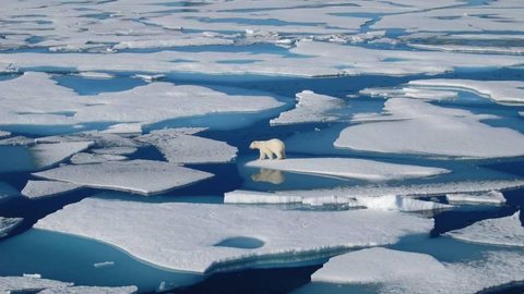ONU estuda relatos “preocupantes” sobre calor recorde no Ártico