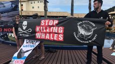 Comissão analisa proposta para liberar caça comercial de baleias; entenda o que está em jogo