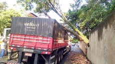 Temporal causa queda de árvores e destelha casas em Irapuã