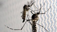 Casos de chikungunya crescem no estado de SP no início deste ano