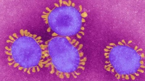 Secretaria Estadual da Saúde monitora suspeitos de coronavírus no interior de SP