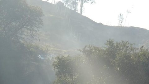 Incêndio destrói cerca de 50 mil m² de área de vegetação na Serra do Japi