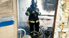 Bombeiros de Marília salvam gatinhos de incêndio em casa que estava vazia