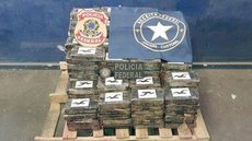 Polícia Federal apreende 265 kg de cocaína no Porto de Natal