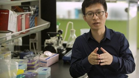 Cientista chinês diz que gêmeos nasceram após embriões terem os genes editados
