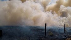 Incêndio atinge área rural de Garça e mobiliza equipes do Corpo de Bombeiros