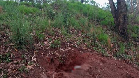 Guarda Civil Metropolitana encontra cemitério clandestino com 6 corpos na Zona Sul de SP