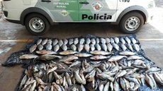 Polícia apreende mais de 100 quilos de pescado irregular em Votuporanga