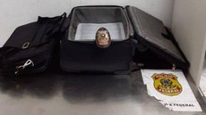 Idoso armênio de 74 anos é preso em aeroporto no Rio com 3kg de cocaína