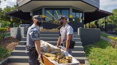 Polícia Rodoviária apreende droga escondida em caixão dentro de carro funerário