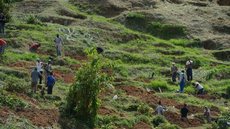 Petrópolis: cemitério improvisa covas para receber vítimas da chuva