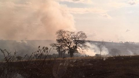 Incêndio atinge fazenda e reserva de mata nativa na região de Bauru