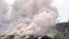 Rio Preto tem mais de 600 queimadas neste ano, diz bombeiros