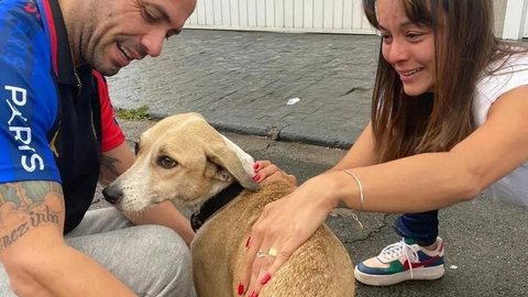 Cachorra Pandora é encontrada depois de 45 dias e devolvida ao dono neste domingo em Guarulhos, na Grande SP