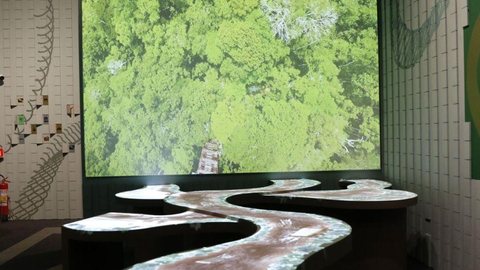 Museu do Amanhã apresenta a visitantes maior bioma tropical do mundo