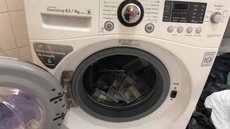 PF prende 6 em operação contra tráfico internacional de drogas e apreende máquina de lavar roupa com dólares em SP