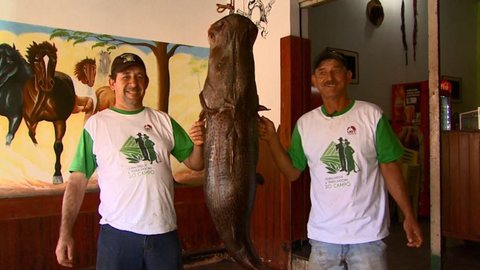 Dupla de pescadores fisga pintado de 60 quilos no Rio Pardo em Barretos, SP