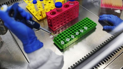 Pesquisadores brasileiros buscam moléculas para combater a covid-19