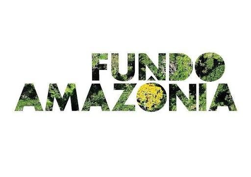 Governo federal recriará comitê orientador do Fundo Amazônia