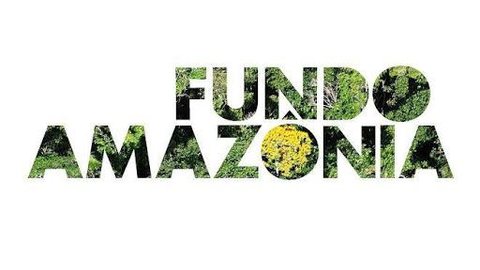 Governo federal recriará comitê orientador do Fundo Amazônia
